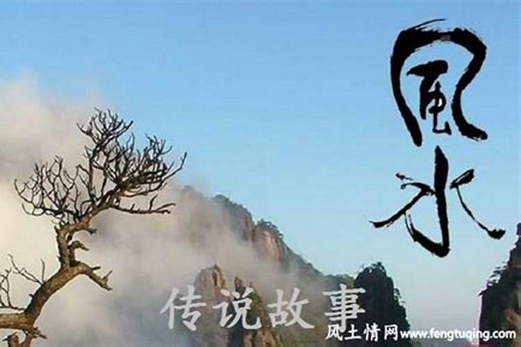 我家阳台来了一窝黄蜂,从风水角度看,是好还不好？