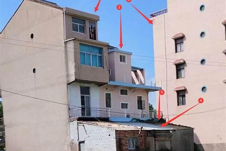 屋后栽什么树对屋的风水最好