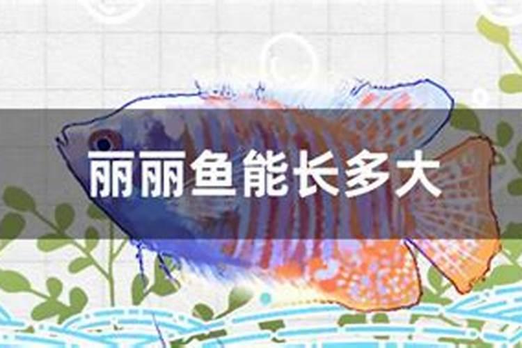 殡仪馆选址有哪些要求