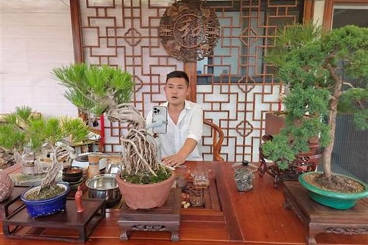 沈绍功个人简介