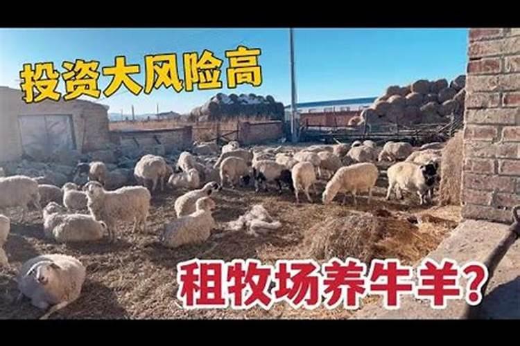 盖牛羊圈用看风水吗？