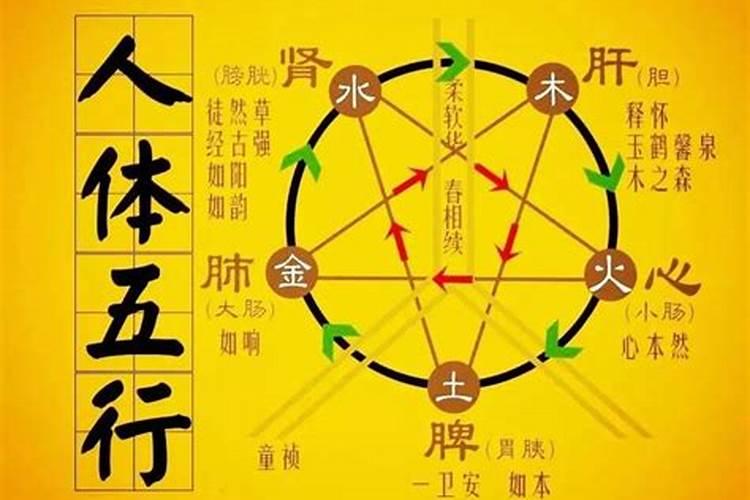 办公室绿箩爬藤风水 绿萝放办公室东南方可生财进宝