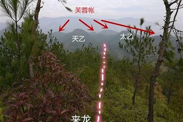 怎么分辨龙脉背面