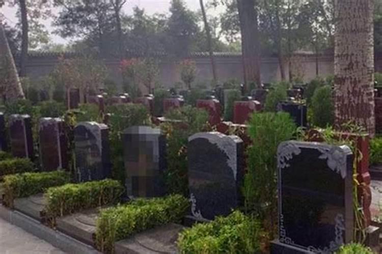 选墓地在山的什么位置好