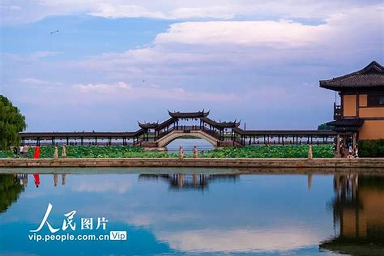 “移风易俗”调查报告