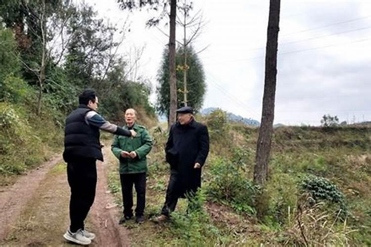 赣南阴宅风水与杨公风水之间的关系