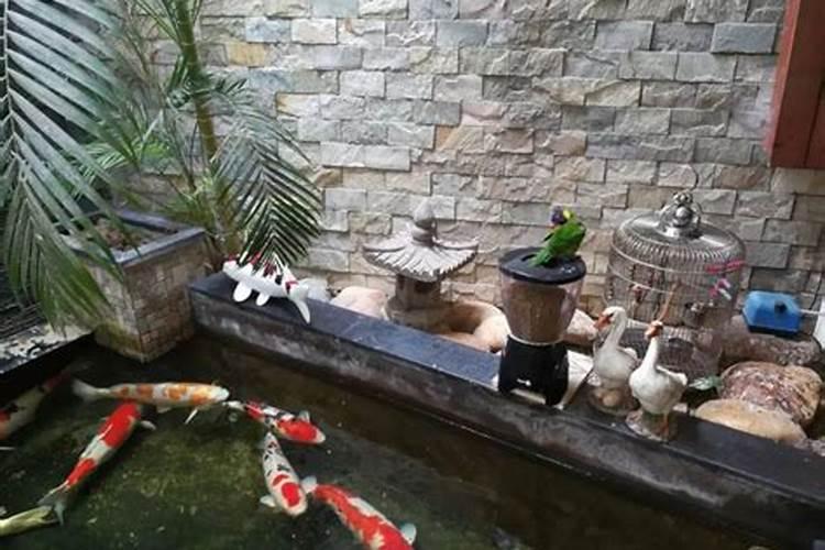 别墅后花园鱼池风水