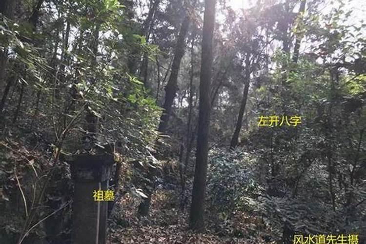 四川哪有比较好的风水大师啊？