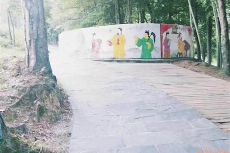 如何看自家风水格局