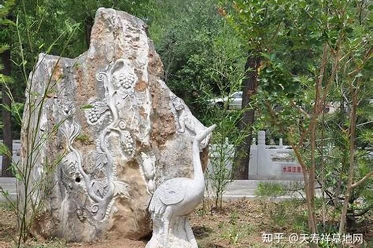 怎么看坟地的风水好坏