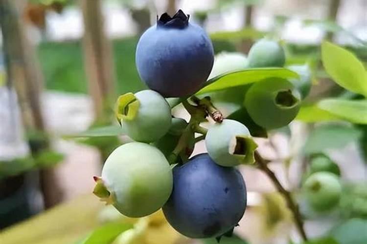 房子好风水的表现