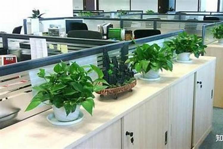 建筑风水学入门,了解最基础的建筑图解