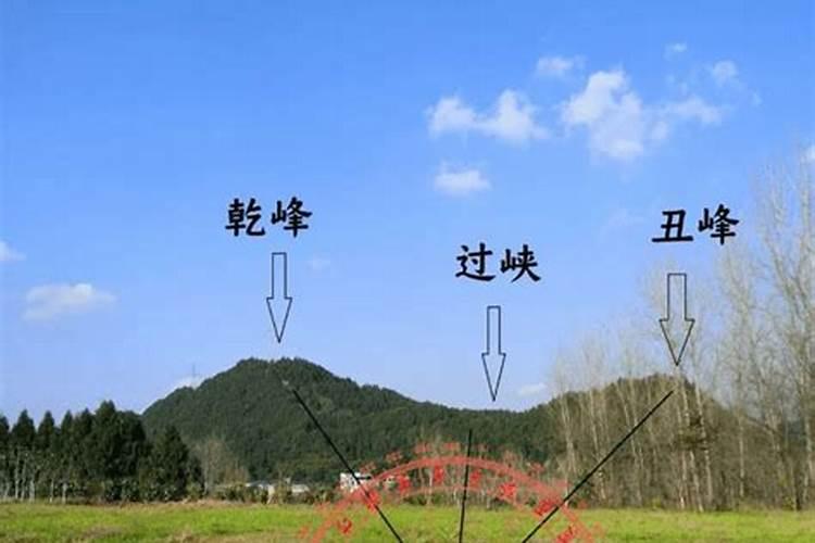 胎停多次需要检查什么