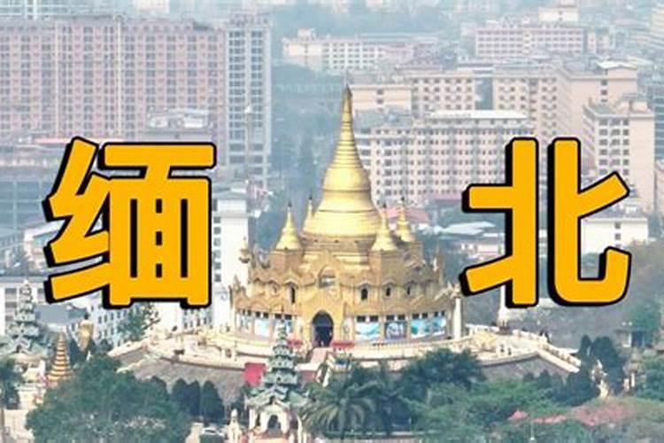 露台种什么植物最旺风水
