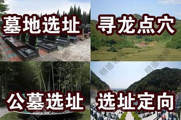 卧室养花风水讲究与禁忌大全