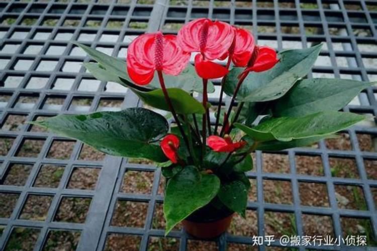 为什么不要随便找人算命