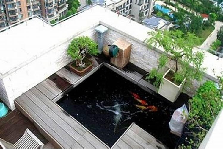鱼池放在房子什么位置风水