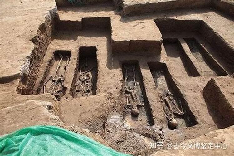 墓地种什么花草旺后人