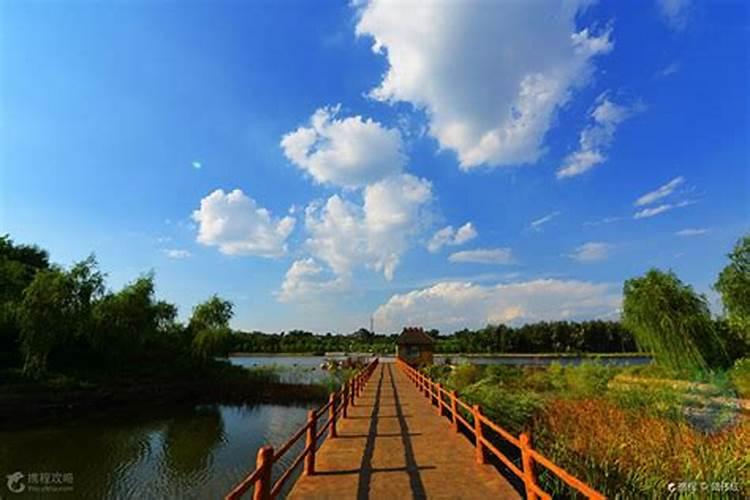 44字在风水里代表什么 车牌带4的好不好？
