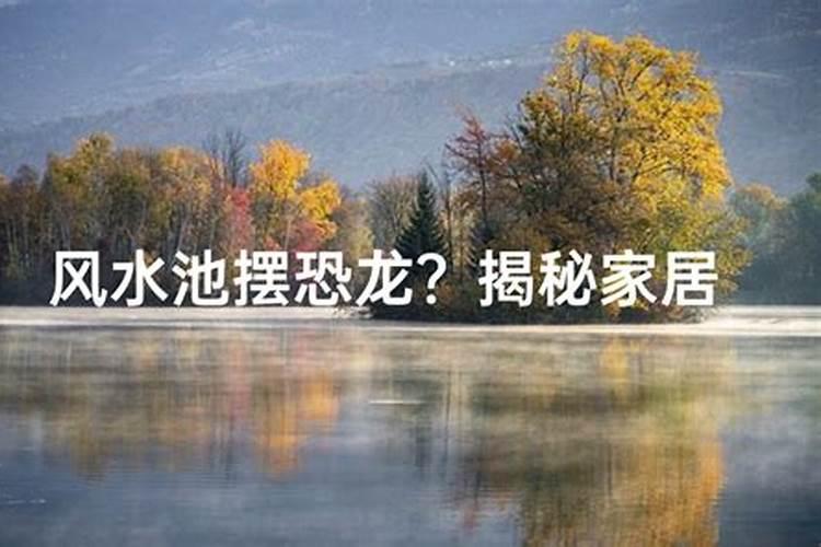 门前水池风水