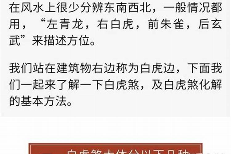 风水最忌白虎煞怎么化解