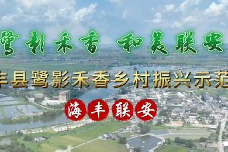 属羊家里摆放什么最旺