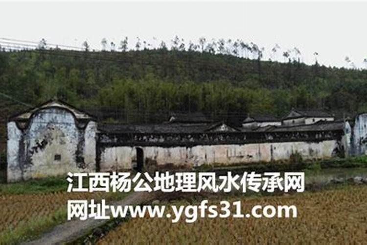 风水师杨公是谁