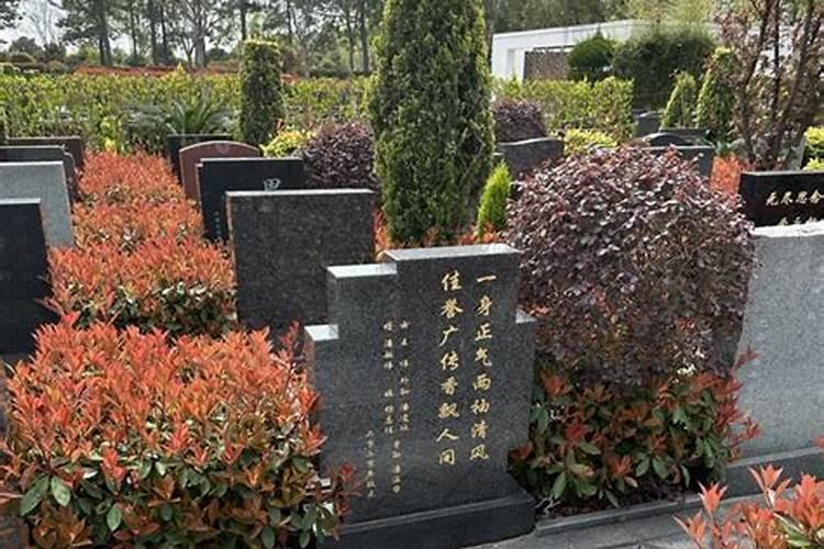 在山坡上选墓地什么位置好