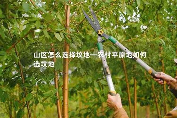 什么样的坟地风水好 坟地风水好不好