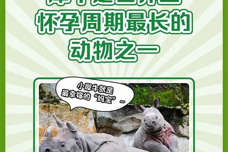 翡翠的雕刻寓意都有些什么