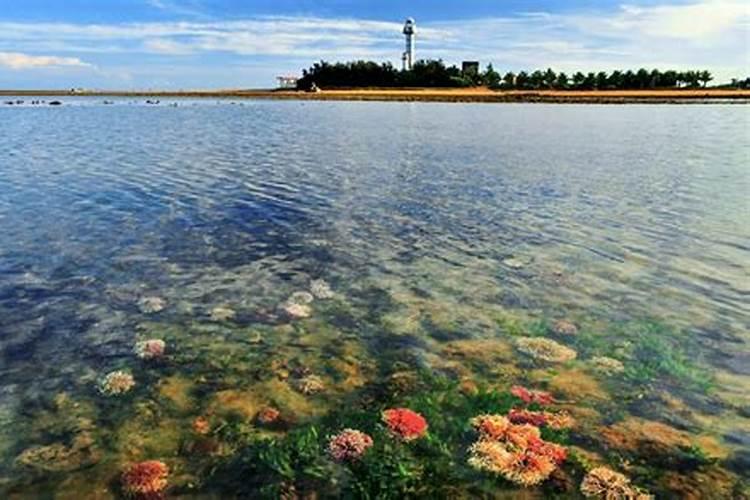 湛江算命
