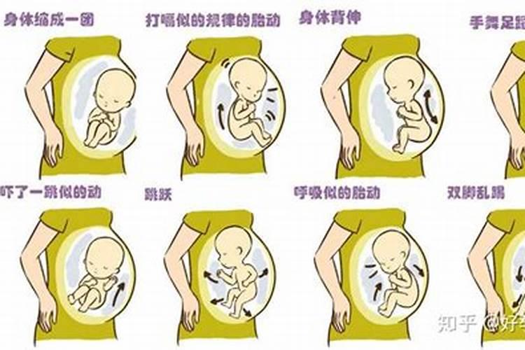 如何看坟地风水