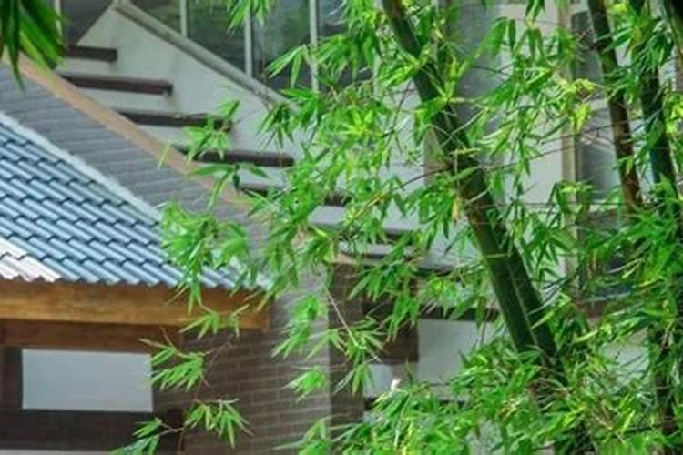 给人家算命看风水的是不是会有报应