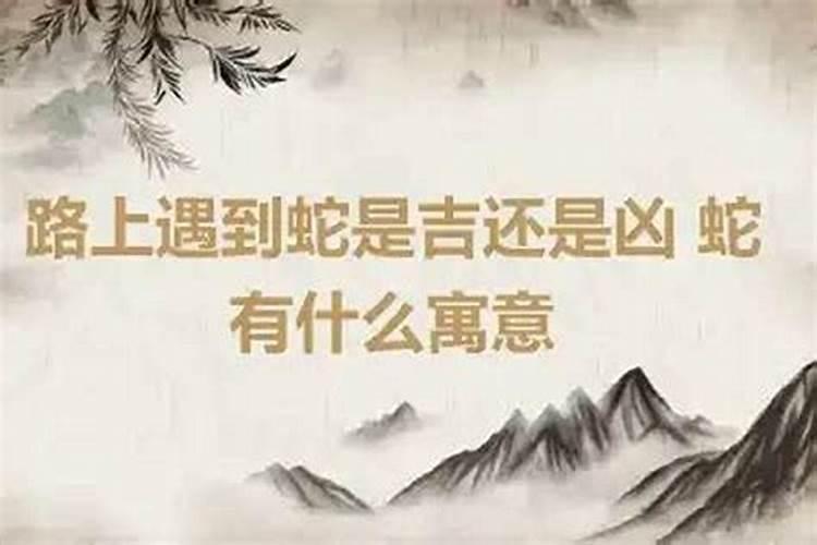 扫墓碰到蛇是什么兆头