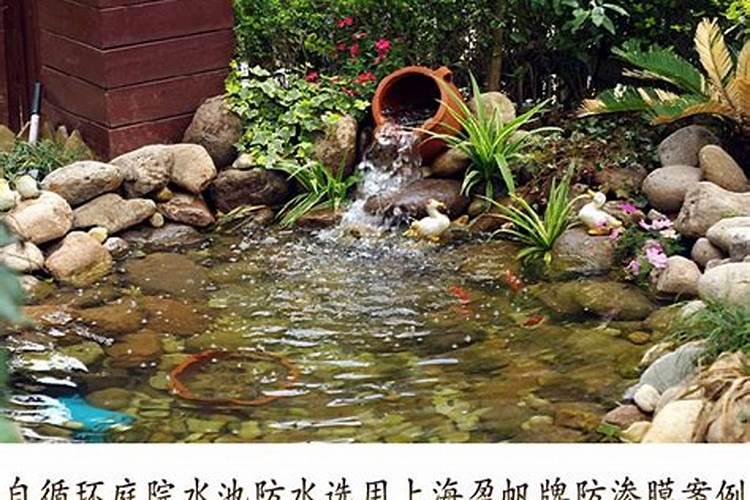 家里可以养梅花吗风水好吗
