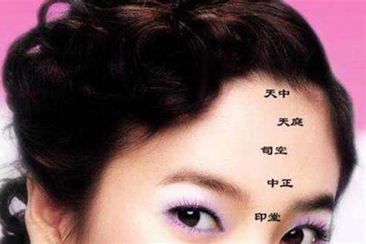 红阳的名家简介