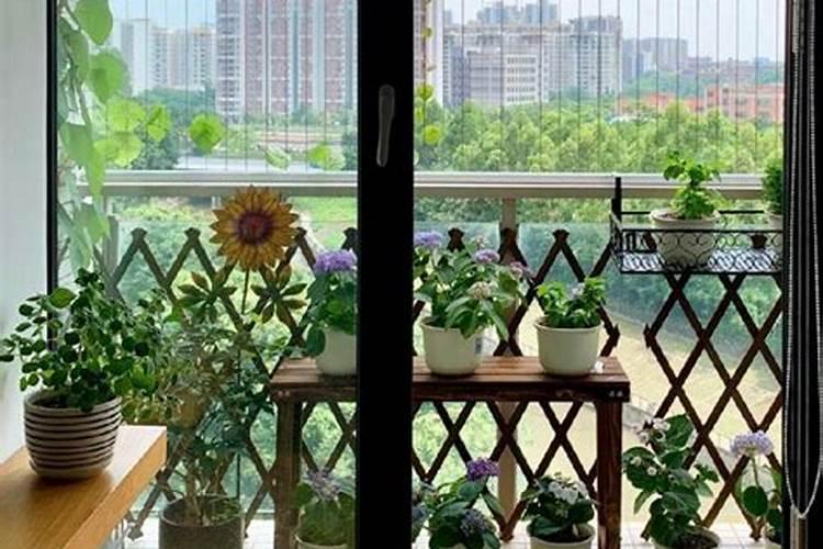 厨房橱柜一般不建议用什么板 橱柜的板子用哪种