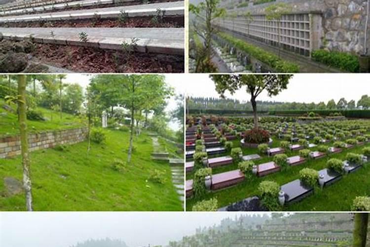 重庆看墓地风水重庆看阴宅风水重庆看坟地风水哪个大师好最厉害？