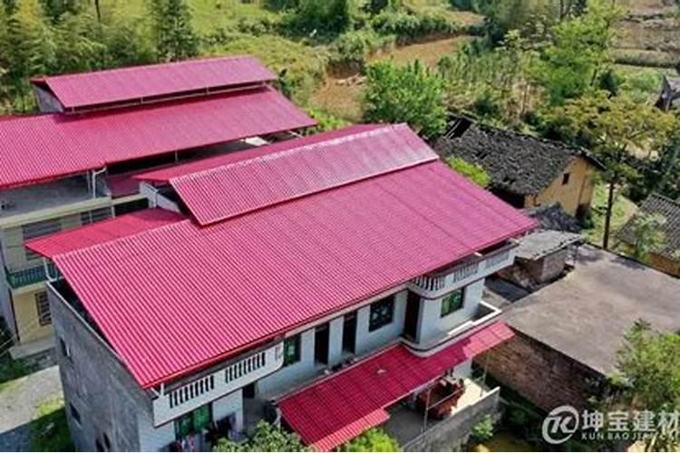 在卧室里床头柜放什么植物好