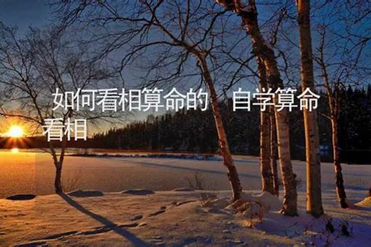 学习看相、算命、卜卦等预测技术会导致算命师本人命运变坏吗？