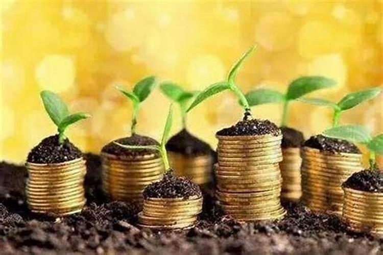 盘点21个十分诡异的民间风水(民间风水奇闻怪事)