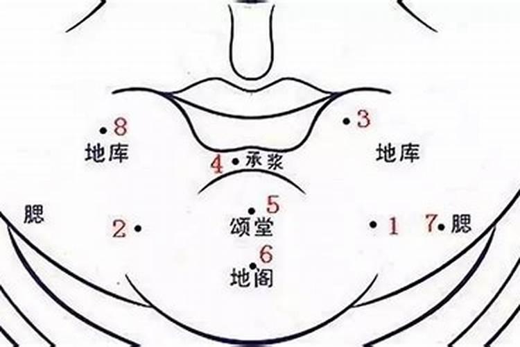 风水学下巴是什么意思