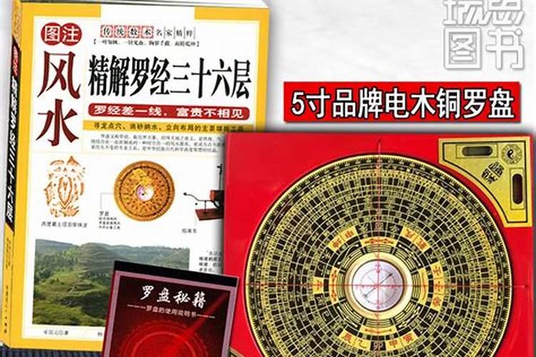 为什么喜欢养金鱼