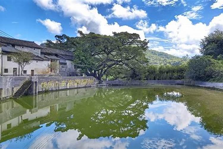 2017年中国十大风水大师排名？人民的眼光是最明亮的,求发布
