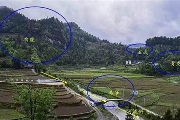 广州风水大师排名前列的有哪些师傅？广州风水大师推荐几位？