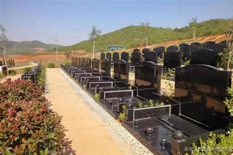 山上墓地周围树被火烧了,风水上是什么意思