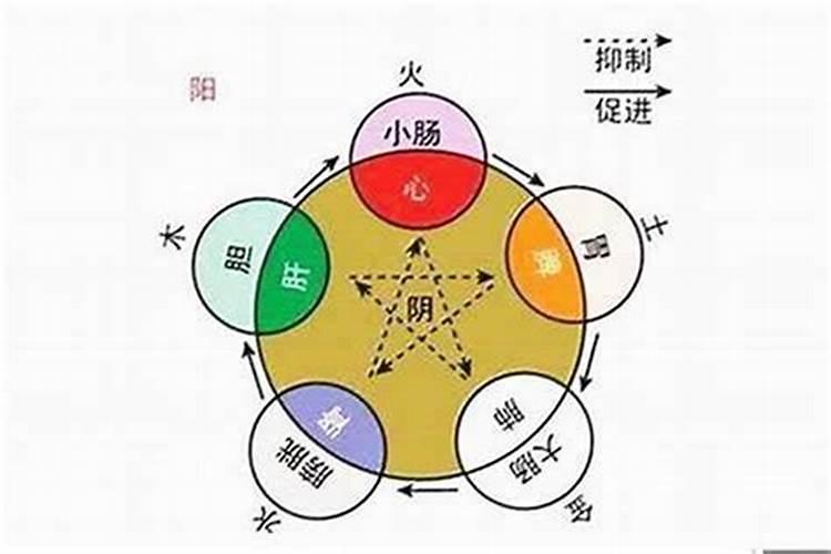 房屋五行风水怎样看呢