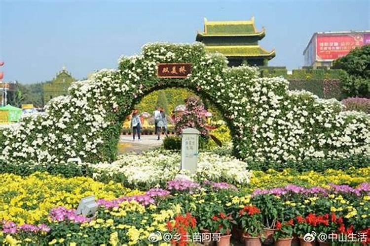顺德的习俗有哪些特色