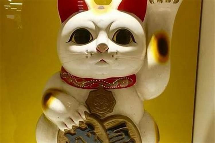 风水摆设有什么讲究,应该摆放什么比较好,招财猫