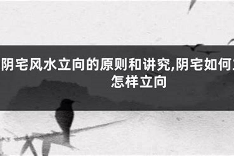 阴宅风水讲究 阴宅风水的立向讲究